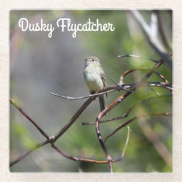 Posavasos De Vidrio Dusky Flycatcher