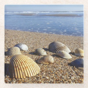 Posavasos De Vidrio EE. UU., Florida, conchas marinas costeras