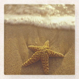 Posavasos De Vidrio EE. UU., Hawái, Maui, Maui, Kihei, Estrella de mar