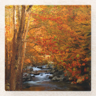 Posavasos De Vidrio EE. UU., Tennessee. Rushing Mountain Creek 2