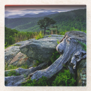 Posavasos De Vidrio EE. UU., Virginia, Parque Nacional Shenandoah