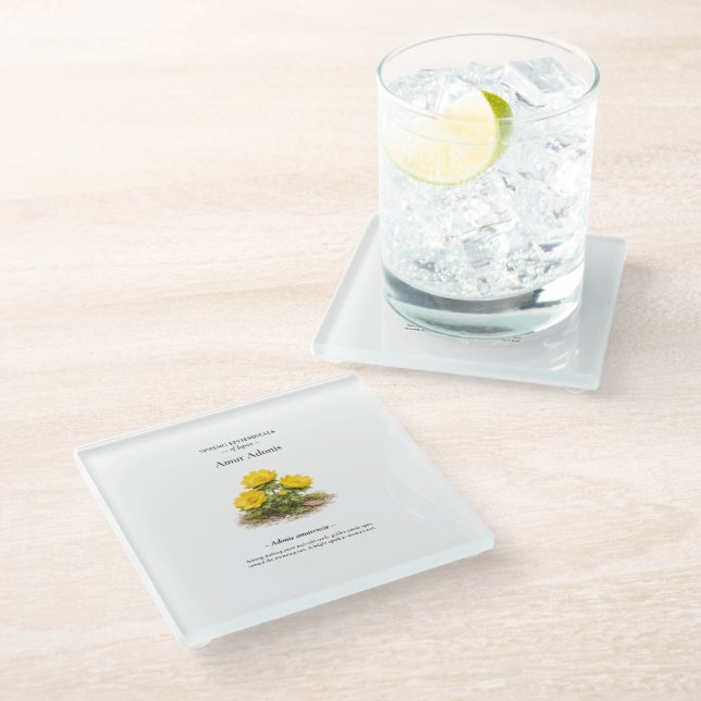 Posavasos De Vidrio Efímeras de primavera de Japón – Adonis de Amur (Angular)