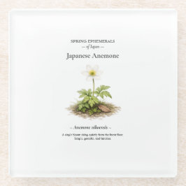 Posavasos De Vidrio Efímeras de primavera de Japón – Anemone Japonesa