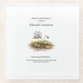Posavasos De Vidrio Efímeras de primavera de Japón - Anemone Kikuzaki