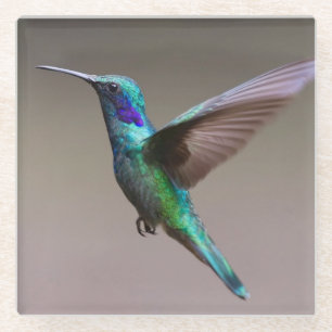 Posavasos De Vidrio El colibrí en vuelo