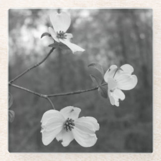 Posavasos De Vidrio El "Dogwood florece" arte original por KAS