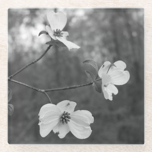 Posavasos De Vidrio El "Dogwood florece" arte original por KAS (Anverso)