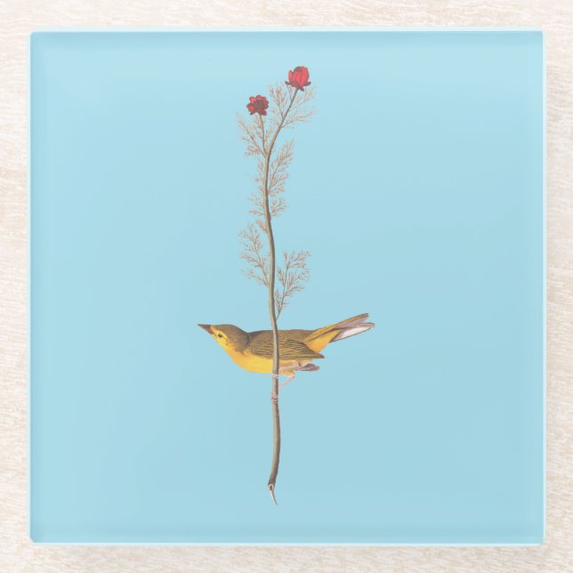 Posavasos De Vidrio El pájaro embrujado de Audubon sobre la flor roja (Anverso)