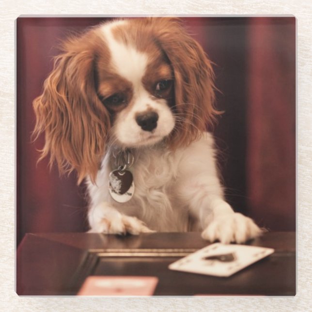 Posavasos De Vidrio El perrito juega a tarjetas (Anverso)