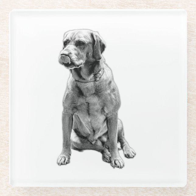 Posavasos De Vidrio El perro que nunca se va (Anverso)