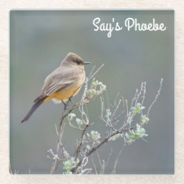 Posavasos De Vidrio El Phoebe de Say