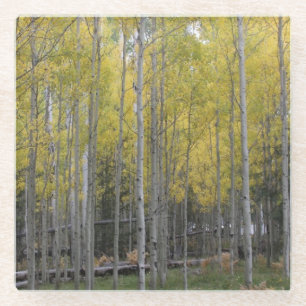 Posavasos De Vidrio El resplandor amarillo de Aspen