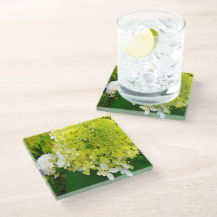 Posavasos De Vidrio Elegante Hortensia Limelight Verde Chartreuse