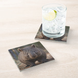 Posavasos De Vidrio "Encanto Chubby: El Adorable Wombat Australiano"
