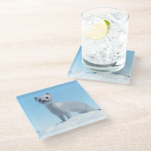 Posavasos De Vidrio Encanto de Comadreja Ártica