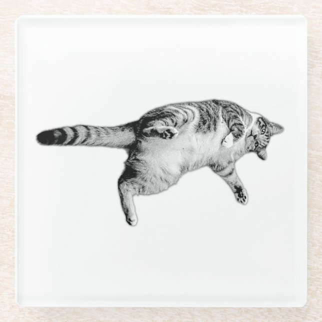 Posavasos De Vidrio Encanto rayado para la tabla (Anverso)