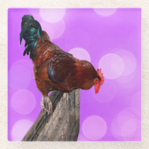 Posavasos De Vidrio Encaramado en Su Majestad: Rooster On Dreamy Purpl