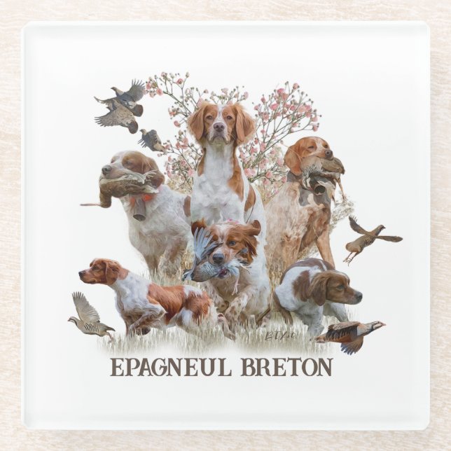Posavasos De Vidrio Epagneul Breton, Bretaña Spaniel (Anverso)