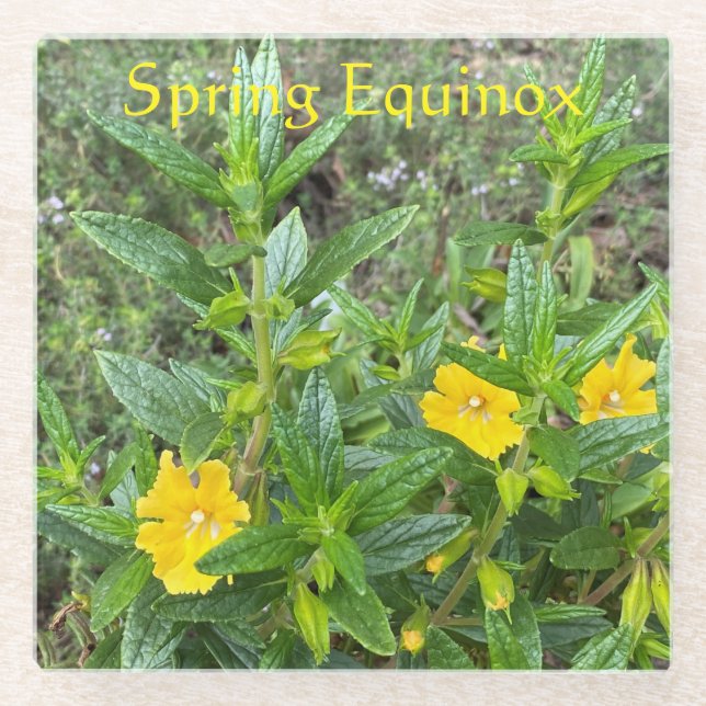 Posavasos De Vidrio Equinoccio de primavera (Anverso)