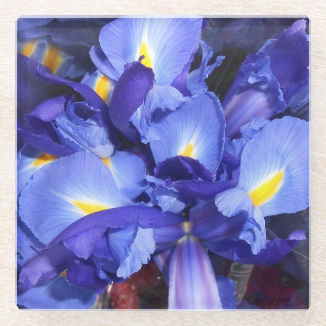 Posavasos De Vidrio Ermengarde (Anverso)