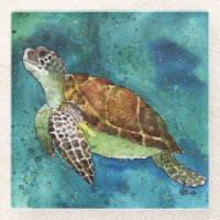 escayola de vidrio imán de tortuga de asiento