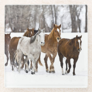 Posavasos De Vidrio Escenario invernal de correr