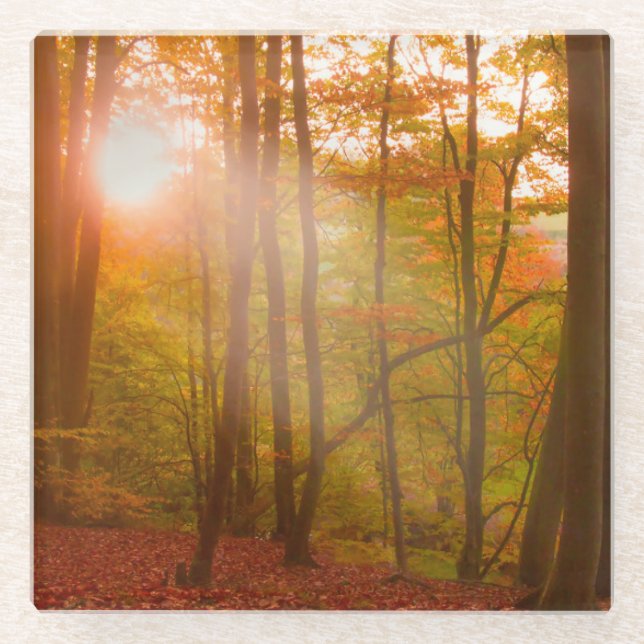 Posavasos De Vidrio Esplendor del otoño (Anverso)