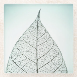 Posavasos De Vidrio Esqueleto verde de la hoja