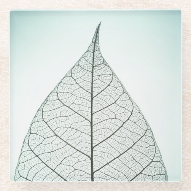Posavasos De Vidrio Esqueleto verde de la hoja (Anverso)