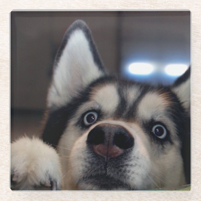 Posavasos De Vidrio Está cualquiera hacia fuera allí (Anverso)