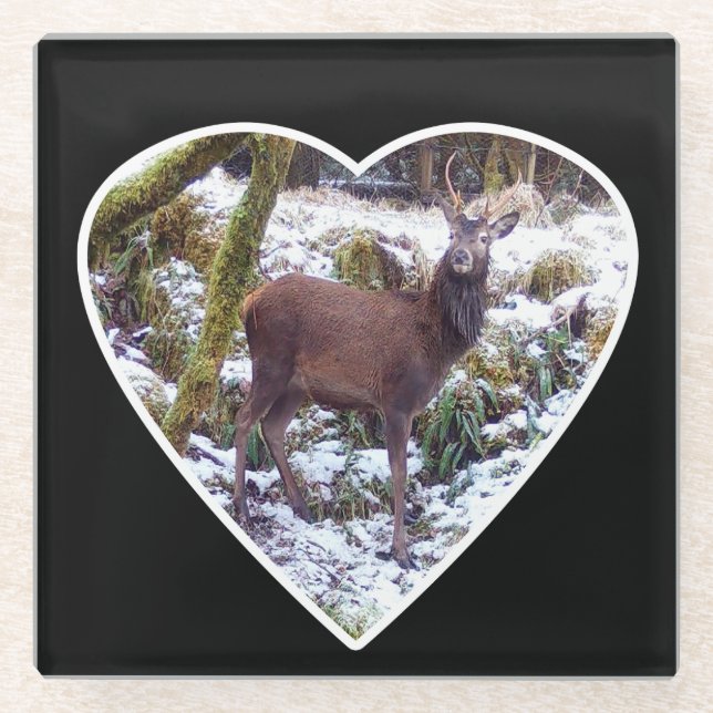 Posavasos De Vidrio Estadio Red Deer en la montaña rusa de vidrio de n (Anverso)