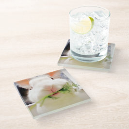 Posavasos De Vidrio Estrellas de conejo de Pascua