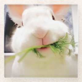 Posavasos De Vidrio Estrellas de conejo de Pascua