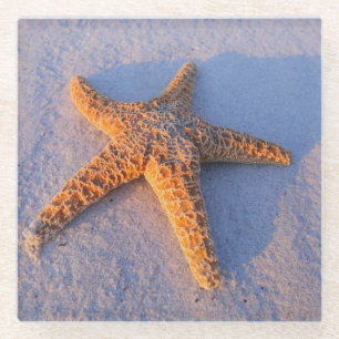 Posavasos De Vidrio Estrellas de mar en la arena blanca