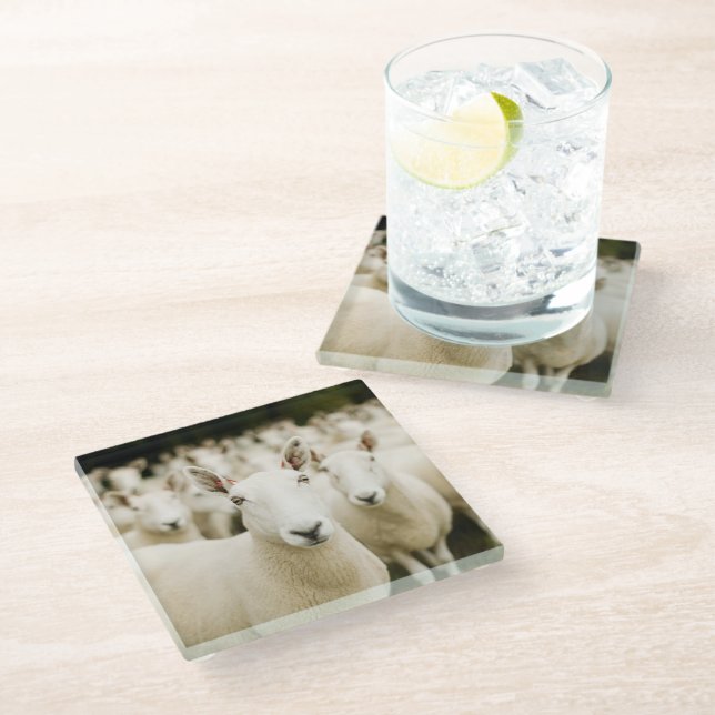 Posavasos De Vidrio Farms | Herd of Sheep (Angular)
