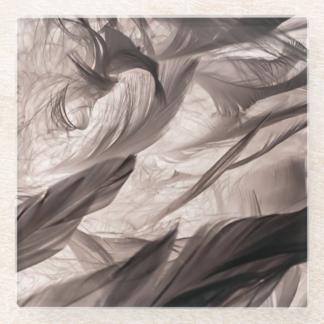 Posavasos De Vidrio Feathers (Anverso)