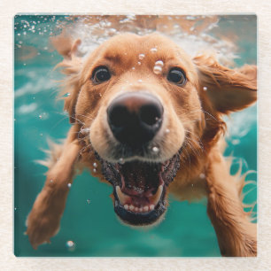 Posavasos De Vidrio Feliz Golden Retriever nadando bajo el agua