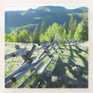 Posavasos De Vidrio Fenceline de madera