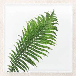 Posavasos De Vidrio Fern frond