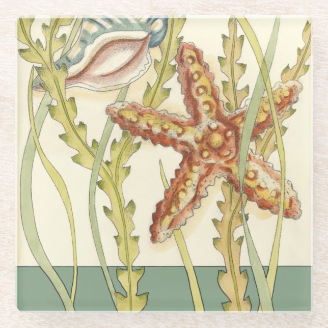 Posavasos De Vidrio Fiesta de shell multicolor (Anverso)