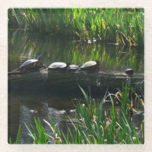 Posavasos De Vidrio Fila de la naturaleza verde de las tortugas