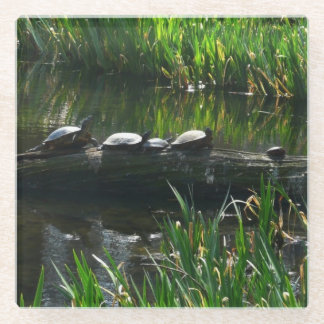 Posavasos De Vidrio Fila de la naturaleza verde de las tortugas