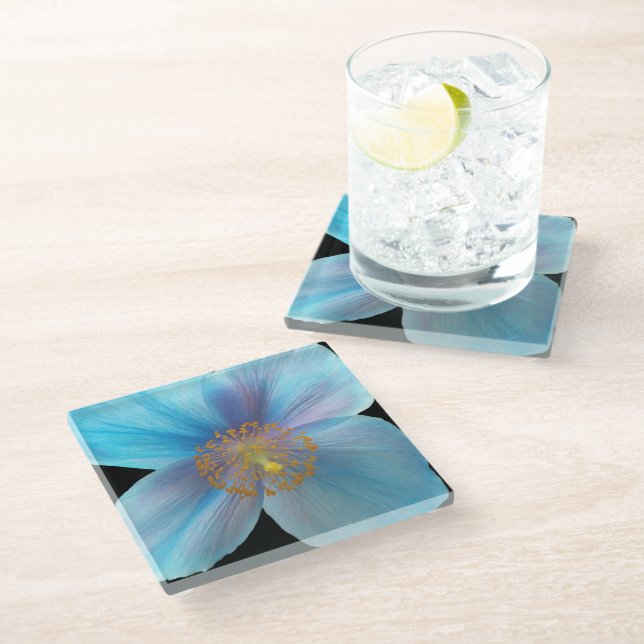 Posavasos De Vidrio Flor de amapola azul del Himalaya (Angular)