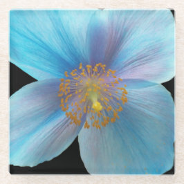 Posavasos De Vidrio Flor de amapola azul del Himalaya