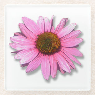 Posavasos De Vidrio Flor de Cono Rosa sobre Blanco, Foto DIY