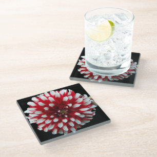 Posavasos De Vidrio Flor de Dalia Roja y Blanca