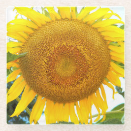 Posavasos De Vidrio Flor de girasol amarillo grande