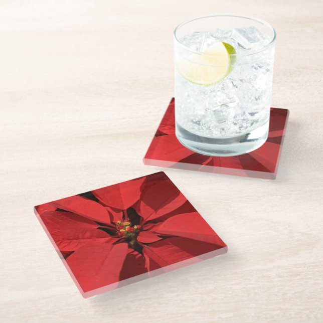 Posavasos De Vidrio Flor de Navidades de Poinsettia (Angular)