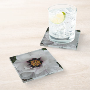 Posavasos De Vidrio Flor de peonía de árbol blanco