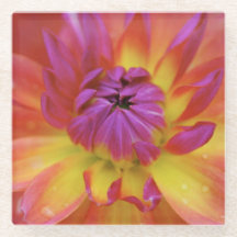 Flor magenta y amarilla